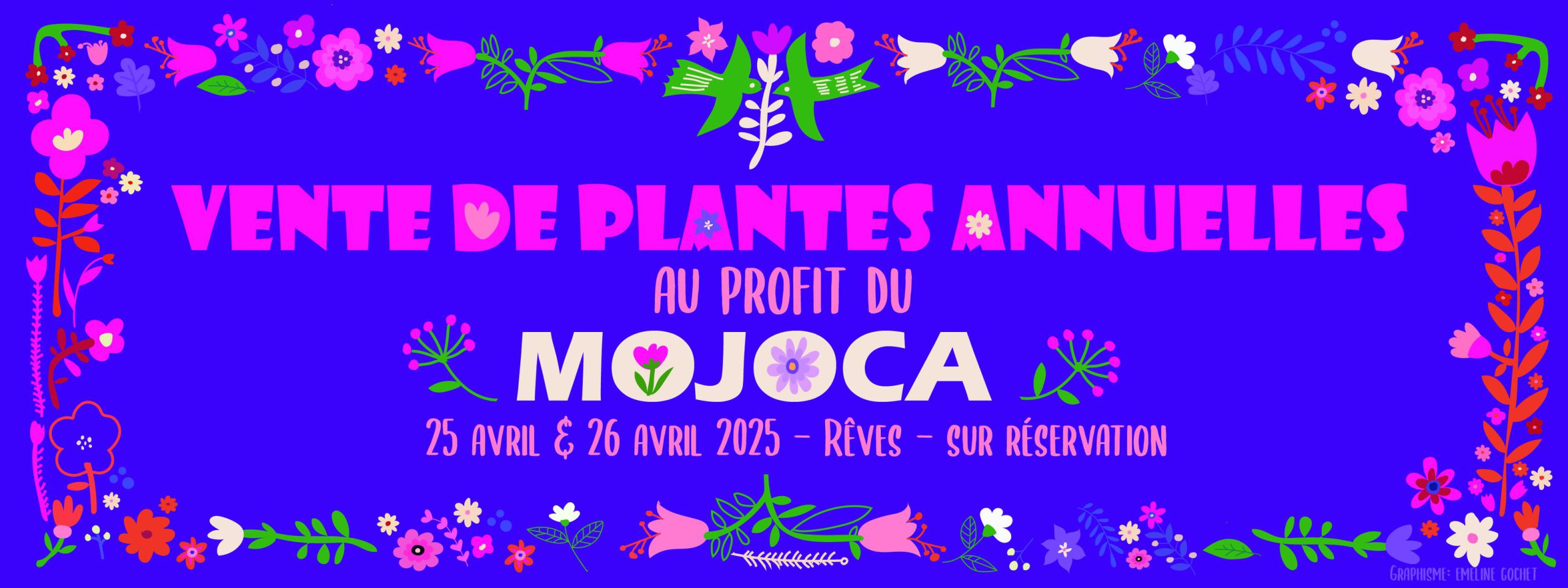2025 – Rèves fleurit pour le Mojoca