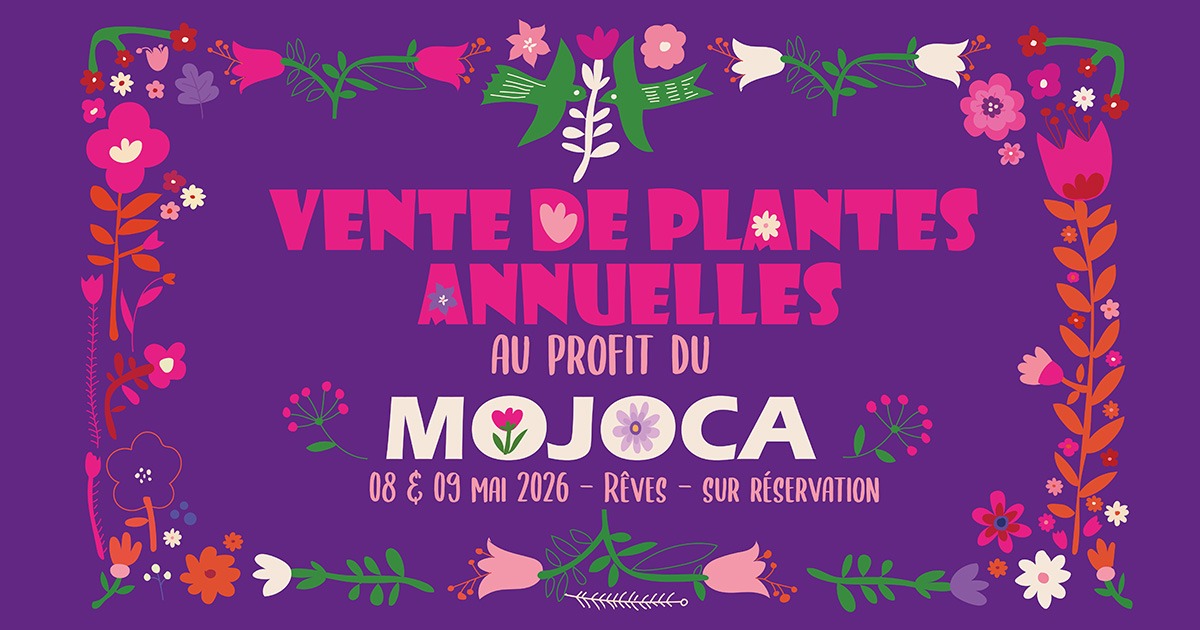 Vente de fleurs solidaires à Rèves : soutenez les jeunes du MOJOCA Guatemala